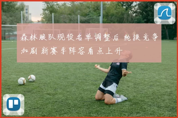 森林狼队现役名单调整后 轮换竞争加剧 新赛季阵容看点上升