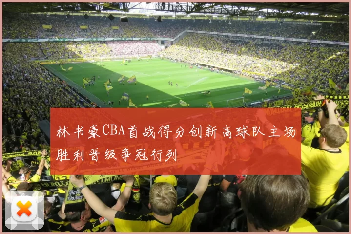 林书豪CBA首战得分创新高球队主场胜利晋级争冠行列