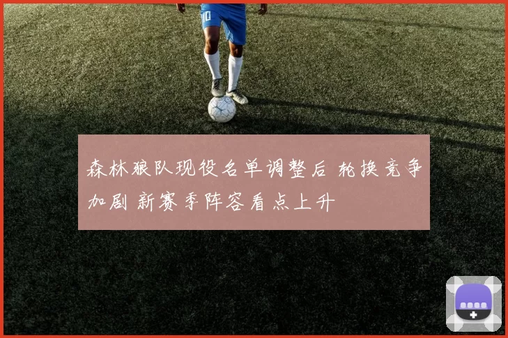 森林狼队现役名单调整后 轮换竞争加剧 新赛季阵容看点上升