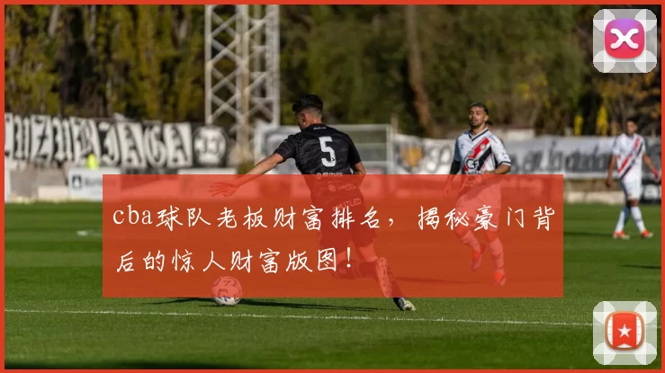 cba球队老板财富排名，揭秘豪门背后的惊人财富版图！